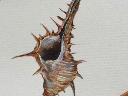 一起画小海螺~
#水彩教程 #水彩 #青年创作者成长计划 #一起学画画 #画画