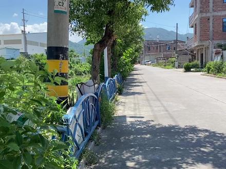 探访泉州市洪濑镇厝斗村 燕山衍派 黄姓居多