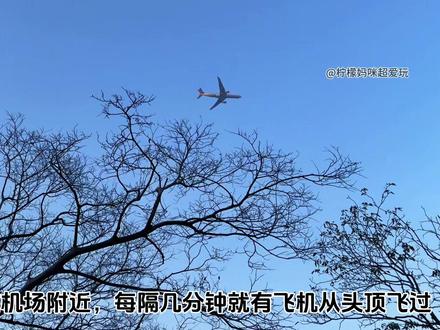 99%的人不知道‼️杭州市内绝美登山游步道,地铁直达‼️ 萧山新修的长山游步道景美路好走,很适合带孩子来,有免费停车场,地铁🉑直达,交通方便。
我根据难度把徒步路线分成4条,除了我们经常走的全程路线,还列了两条适合低幼宝宝和老人的半程路线:
1️⃣全程路线①(追日落路线):福庆寺→2瞭望塔→1瞭望塔→圆碉堡→方碉堡(旁边就是日落观景台)→ 西北出入口(视频中的路线)适合4岁+
2️⃣全程路线②(春天赏花路线):西北出入口→方碉堡→圆碉堡→1瞭望台→2瞭望台→东出入口 适合4岁+
3️⃣半程路线①(看碉堡路线):西北出入口 →方碉堡→圆碉堡→原路返回 适合3岁+
4️⃣半程路线2(登高路线):福庆寺→2瞭望台→1瞭望台→原路返回 适合2岁+
🚗交通:
走1️⃣4️⃣路线的,
🚗自驾车停“福庆寺”,停车免费;
🚇地铁坐到“姑娘桥”站A口出,导航到“福庆寺”,走10分钟左右到。
走2️⃣3️⃣路线的:
🚗自驾车停“育英实验学校”旁边空地,对面就是登山口
🚇地铁坐到“双桥”站,导航:萧山区育英实验学校东南门。
徒步tips:
①日落观景台在方碉堡旁边,秋冬日落时间5点左右;
②洗手间有好几个,位置在瞭望塔和观景台,沿途有1个人工售卖点,若干自动售卖机。
→更多亲子徒步、登山、遛娃路线在我首页
→每周一山持续分享ing,下一篇见啦!
#户外徒步登山 #杭州爬山 #喜欢爬山🏃感受大自然的气息🍀 #户外徒步 #亲子户外活动