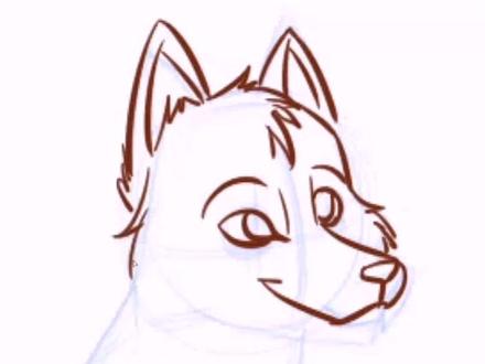 狼的画法,动物篇,适合兽圈孩子们#furry兽圈 #画画教程 #画画 #充能计划 #二次元