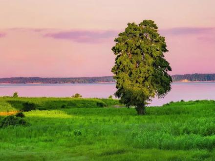 如何拥有抵制诱惑的定力,网络诱惑主要包括网络方面的、游戏、网瘾、刷视频等 摘自吴军《态度》