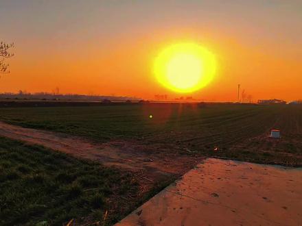 在中国 我们不说马年快乐 我们说 春风得意马蹄疾 万马奔腾迎新年 祝大家 马上有钱财运旺 马踏新程路路顺 马不停蹄好运到 马年如意乐陶陶 马上高升仕途顺 马到成功万事成 龙马精神身体健 金马送福岁岁安#情感共鸣 #人生感悟 #治愈系风景