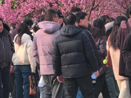 玄武湖的花你去拍了吗?花花太多不知道从哪开始?
3分钟带你了解玄武湖最新花情播报,超快捷赏花路线让你省时省力不走冤枉路!
1.玄武门码头旁(郁金香🌷)
2.环洲假山旁(雪柳)
3.樱洲(二月兰、樱花、李花、玉兰花)
快去逛,来晒晒你手机里拍的花花#我在抖音聊旅行 #春日赏花实况播报 #一张图证明你去过的地方 #南京旅游攻略 @抖音创作小助手 @抖音小助手