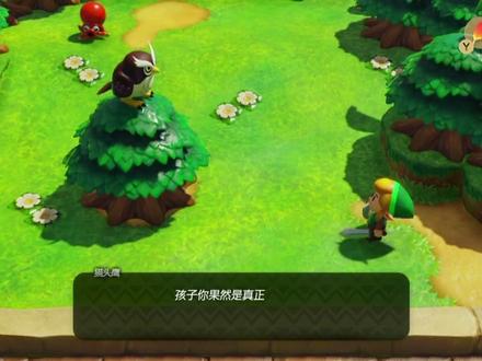 #塞尔达传说 #织梦岛 第3期 果彭加沼泽 解救汪汪渡沼泽