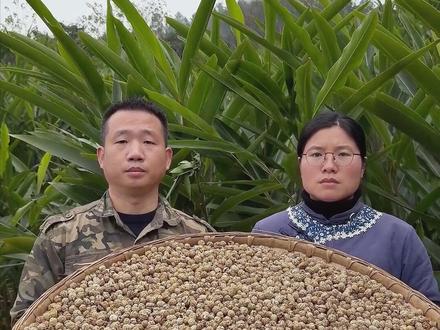 正宗草寇,足干发货。炖肉软烂入味的香料草寇,喜欢做菜的哥哥姐姐,一定要试试。