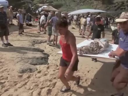 美人鱼真的存在吗? #猎奇 #揭秘