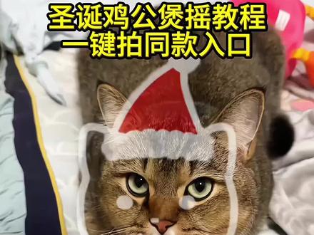 圣诞鸡公煲出自动摇了 圣诞鸡公煲特效教程 自动圣诞鸡公煲摇特效 自动鸡公煲摇特效怎么拍#剪映 #圣诞鸡公煲出自动摇了 #鸡公煲鸡公煲经过我的胃 #圣诞鸡公煲 #圣诞鸡公煲出自动摇了 圣诞鸡公煲出自动摇了 鸡公煲鸡公煲经过我的胃 自动摇小猫 猫咪摇特效 鸡公煲鸡公煲经过我的胃原版