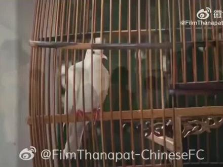 新剧来袭,敬请期待#filmthanapat #泰剧推荐