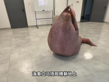5月25日社会热点信息差 #信息差 #热点 #热点新闻事件