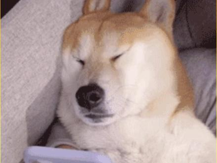 新版闲鱼真的太抽象啦,万物皆可拍哈哈哈 继“卖掉了”之后,闲鱼又一个刷屏梗出现了--闲鱼空间体,简直不要太抽象,网友们都玩疯了
晒什么的都有,五花八门,什么钓鱼竿、钢琴、青岛的海水、高铁,一个比一个离谱,一个比一个抽象
万物皆可拍,不全是为了卖闲置,就是为了玩梗也得拍上一拍
#闲鱼空间体#闲鱼#神奇的闲鱼#玩梗#上闲鱼赚一笔