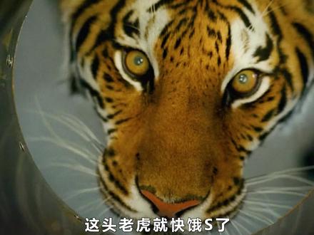 女孩虎口逃生 #燃烧的夜晚 #电影解说