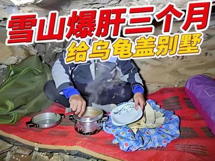 男人雪山爆肝三个月,竟只为给一只乌龟盖别墅,结局太硬核! #荒野建造#庇护所建造#荒野独居#户外#解压