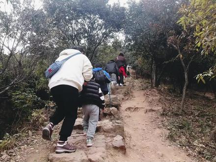 苏州树山徒步小环线,一条非常适合锻炼的线路!#苏州 #一起爬山 #周末去哪里玩 #徒步 #爬山🧗 @DOU+小助手