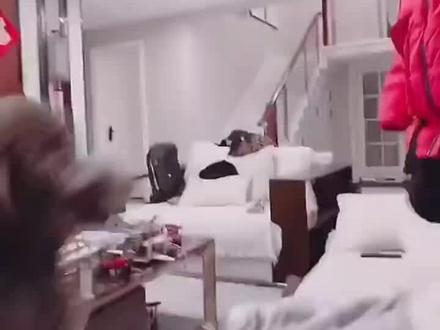 被皮皮欺负的一天。#左奇函#火鸡面#小左丸