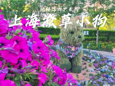 上海潦草小狗 刚过去的这个五一假期要说上海最火的打卡点,还得是苏州河边那只巨型“潦草小狗#旅行推荐官 #上海 #上海美好推荐官 #宠物