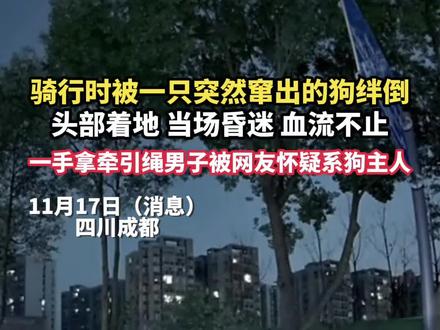11月17日(报道)四川成都,女子骑行时被狗绊倒,头部着地当场昏迷血流不止。轿车监控记录下事发过程。一位手拿牵引绳的男子被网友怀疑系狗主人。