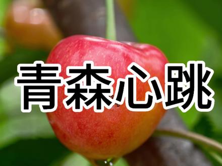 #青森心跳 青森心跳大樱桃