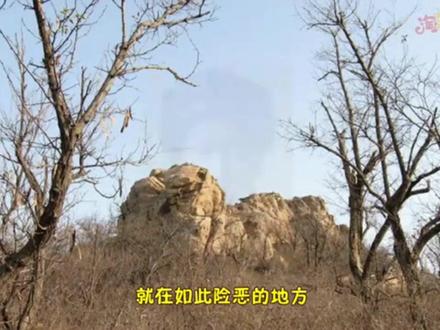 六年级语文上册第29课《青山不老》