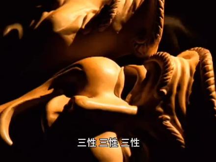 你了解什么是“三性”吗?不清楚就听一听,长知识了