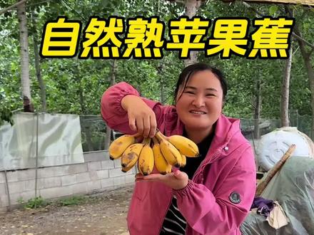 自然成熟的苹果香蕉🍌#苹果香蕉
