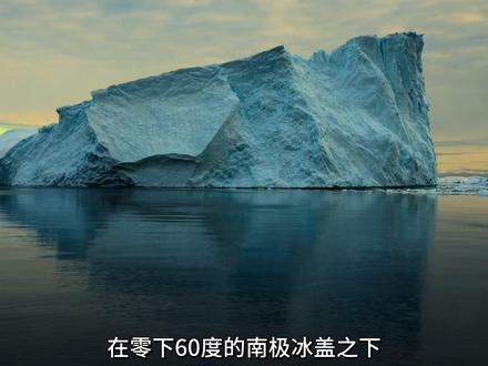 南极藏着纳粹的地下基地?(完整版) #奇闻#都市传说#南极#战争