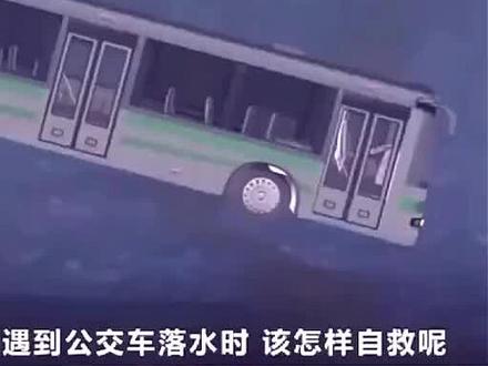 #三维动画 #自救 公交车落水时如何自救呢
