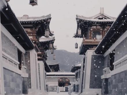 “我于窗中窥伤鹤,恰如仰头见春台”永远折服于文人风骨#东厂观察笔记#杨婉#邓瑛#虐心#小说 #意境