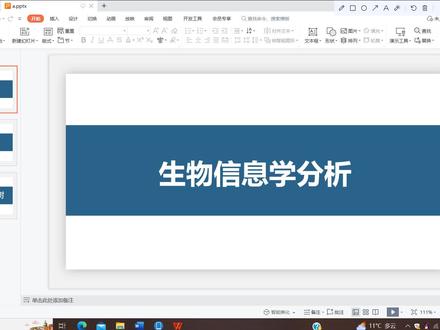 生物信息学分析:系统发育进化树的构建