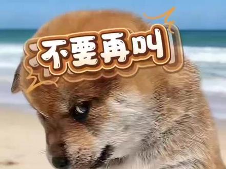 解释一下什么叫台妹! #台湾妹子 #台湾腔 #甜妹 #台妹