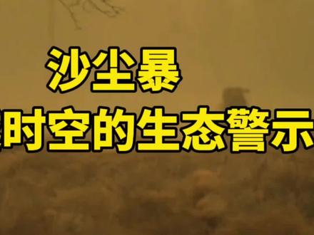 最强沙尘暴来袭! #沙尘暴 #自然灾害 #大风