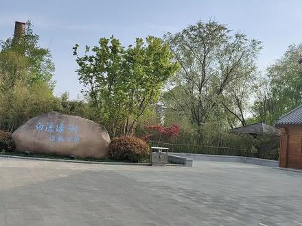 潍坊“人间仙境”世外桃源——白浪河绿洲湿地公园 #周边游 #绿水青山我的家 #生态环境 #旅游胜地 #随走随拍