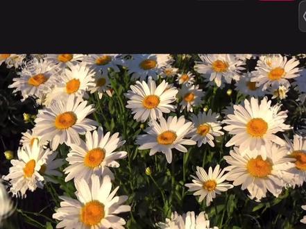 蒙版高级玩法之水滴晕开效果教程来了~ #剪辑教程 #视频剪辑 #剪映