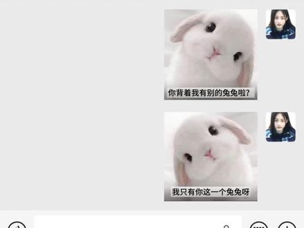 兔兔表情包,himari兔子表情包微信版保存教程,himari兔子表情包,你背着我有别的兔兔啦?我只有你一个兔兔呀,兔兔歪头表情包,兔兔表情包微信怎么搜#兔兔表情包 #himari兔子表情包 #himari