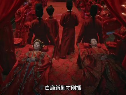 #唐宫奇案#唐宫奇案每一案都好带感