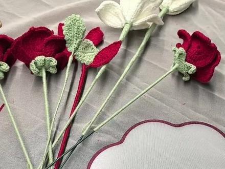 单面团扇组装教程#团扇 #团扇教程 #团扇钩织教程 #钩织教程 #DIY