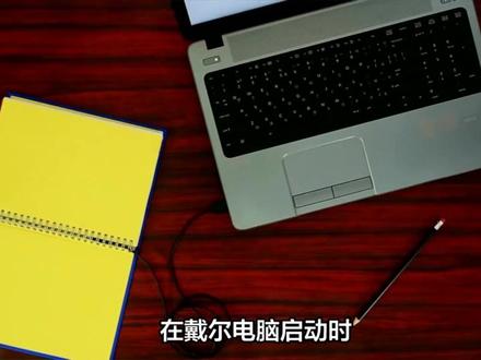 戴尔电脑型号查找全攻略:物理标识、系统信息与官方网站 #电脑 #戴尔