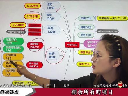 哈尔滨新中考850分,一分钟说清分值分布 #新中考 #哈尔滨中考 #中考 #新中考改革