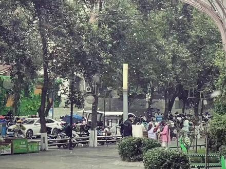 绵阳真的下雪了!#下雪 #下雪了