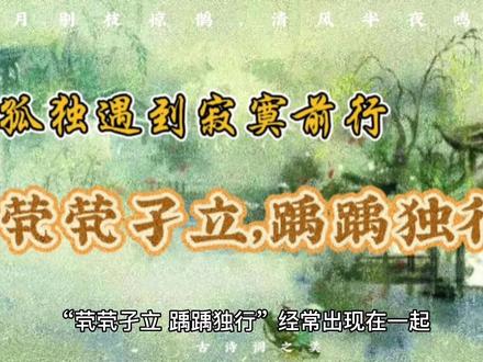 “茕茕孑立,踽踽独行”,当孤独遇到寂寞前行。#唯美诗词 #传承弘扬中国文化 #成语