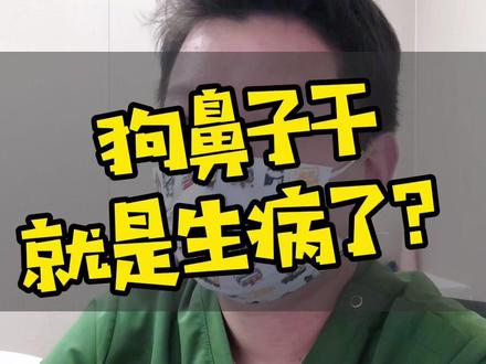 狗鼻子干干的是生病吗?#小姜是兽医 #萌宠出道计划