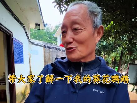 带大家了解一下我的葵花鹦鹉#网红鹦鹉 #凯里动物园