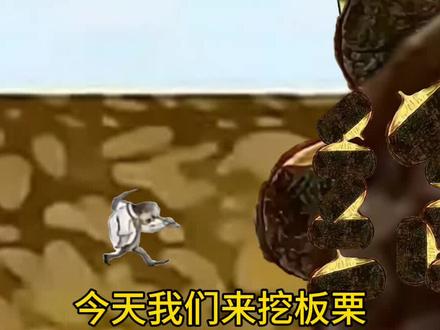 板栗太好吃了@DOU+小助手 @DOU+上热门 #板栗 #猎奇 #搞笑 #我是愤怒的 #大板栗