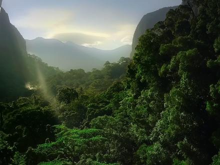 高分纪录片带你走进动物们的世界#动物 #动物世界 #动物科普 #冠班犀鸟 #角蝉