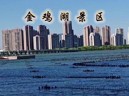苏州金鸡湖景区,是全国唯一的“国家商务旅游示范区”核心区。 #东方之门 #中国最大的城市湖泊公园 #湖边美景