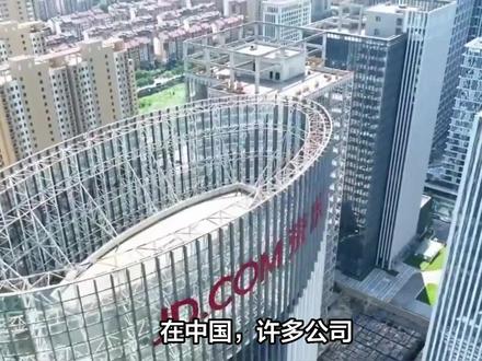 京东入职为什么要查征信 #征信 #入职