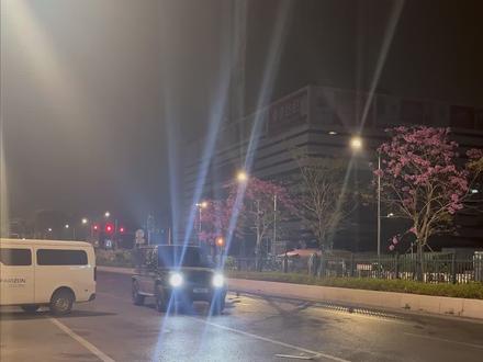 长风破浪会有时 直挂云帆济沧海 #csgo #cs2 #csgo饰品 #cs #windking