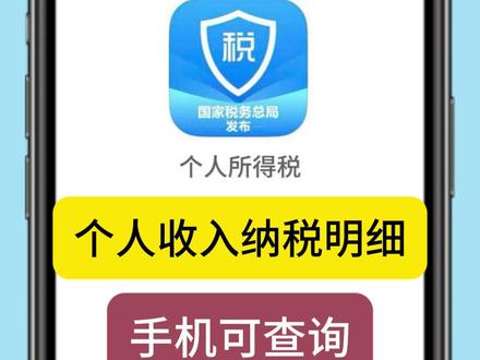 个人收入纳税明细手机可查询