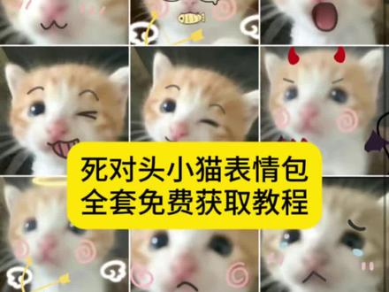 #死对头小猫 死对头小猫表情包全套#死对头小猫表情包微信 抖音表情包怎么弄到微信#剪映 #小猫表情包 可爱小猫表情包全套 死对头小猫表情包#死对头小猫表情包 表情包小猫 小猫全套表情包微信 死对头小猫表情包在哪保存 死对头猫meme 死对头小猫出处 哈基米 网上很火的小猫表情包 死对头他超甜的 死对头表情包叫什么 死对头小猫表情包图片
