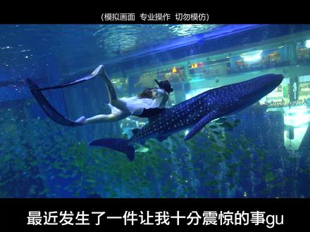 为什么会发生胡建鲨鱼馆这样的杯具?十年潜水老炮告诉你原因! #潜水 #科普 #2020秋游记
