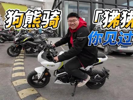 1.86米240斤!狗熊骑「狒狒」你见过么?#摩托车 #XO狒狒 #春风狒狒